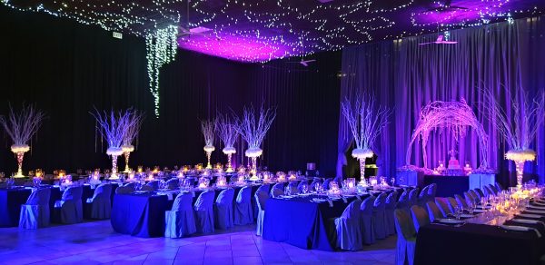 wedding-event-planning-management-lights-setup